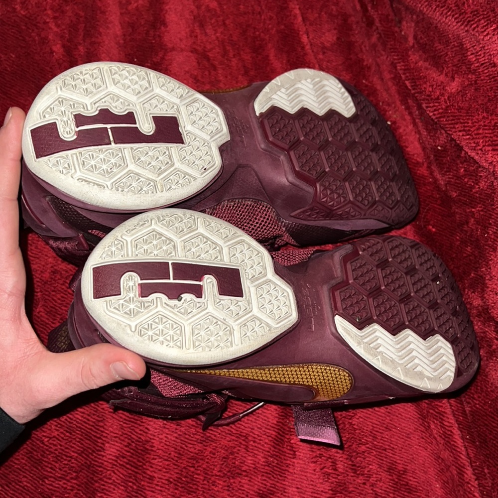 Lebrons - Picture 3 of 4